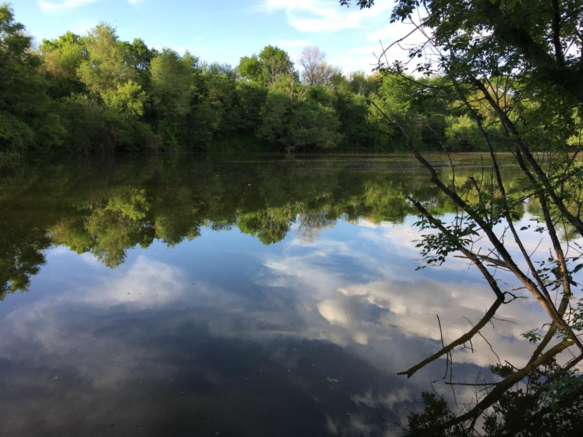 Pond on site, does not always have water in pond