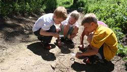 Discovery Camp: Roots and Sprouts