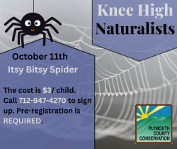 Knee High Naturalists