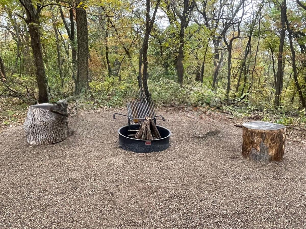 Southwood Backcountry Campsite - Firepit with grill and two large tree stumps.