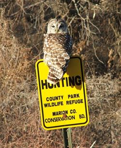Hunting
