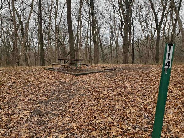 Yellow Banks Hike-In Site T14