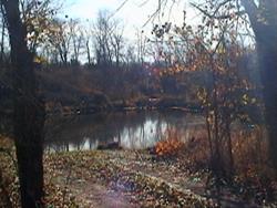 Iranistan Wildlife Area