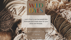 Wild Dyes