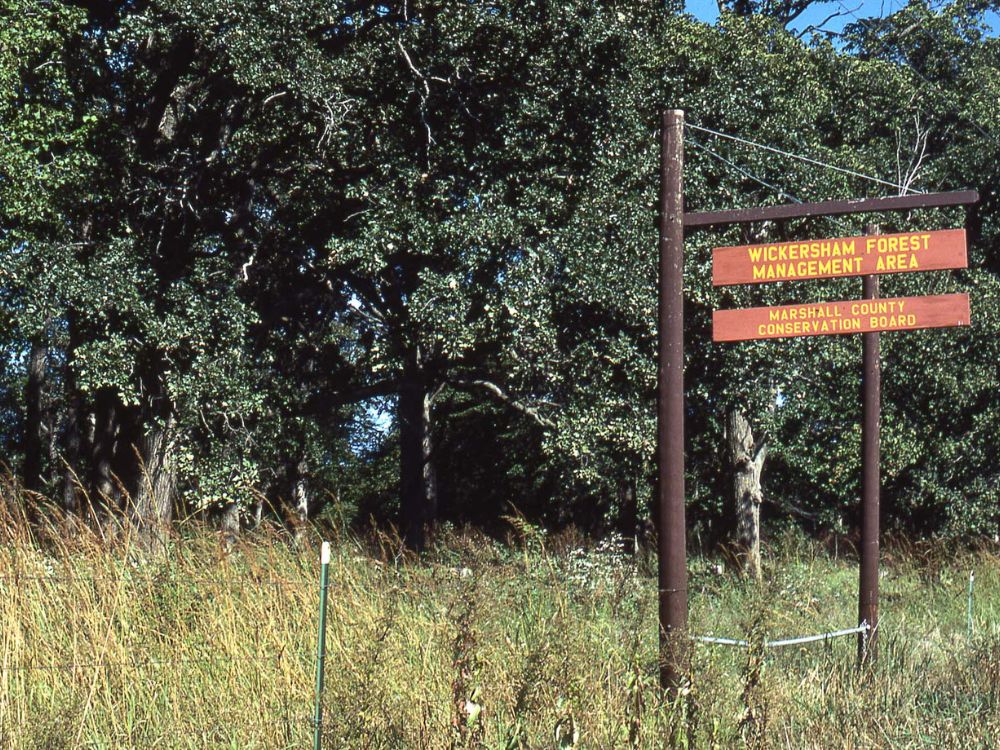 Wickersham West