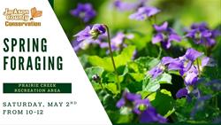 Spring Foraging Workshop
