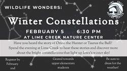 Wildlife Wonders - Winter Constellations