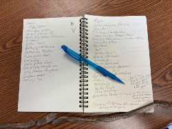 Nature Journaling - Spring edition