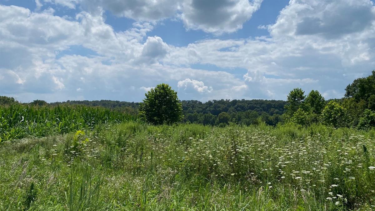 Prairie on bluff