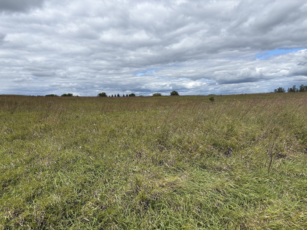 Ringham Habitat Area