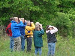 Spring Birding