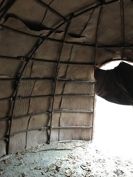 view from inside wickiup