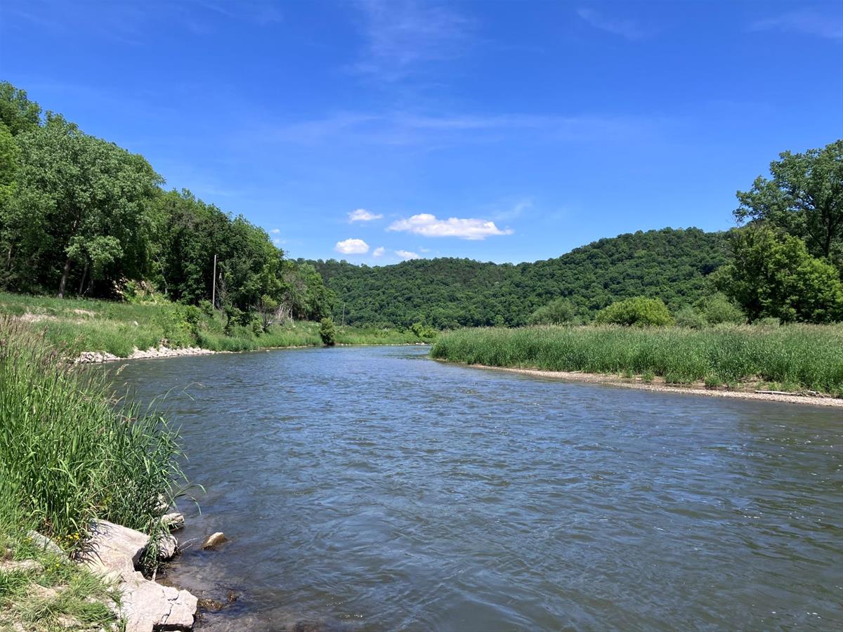 Looking downriver