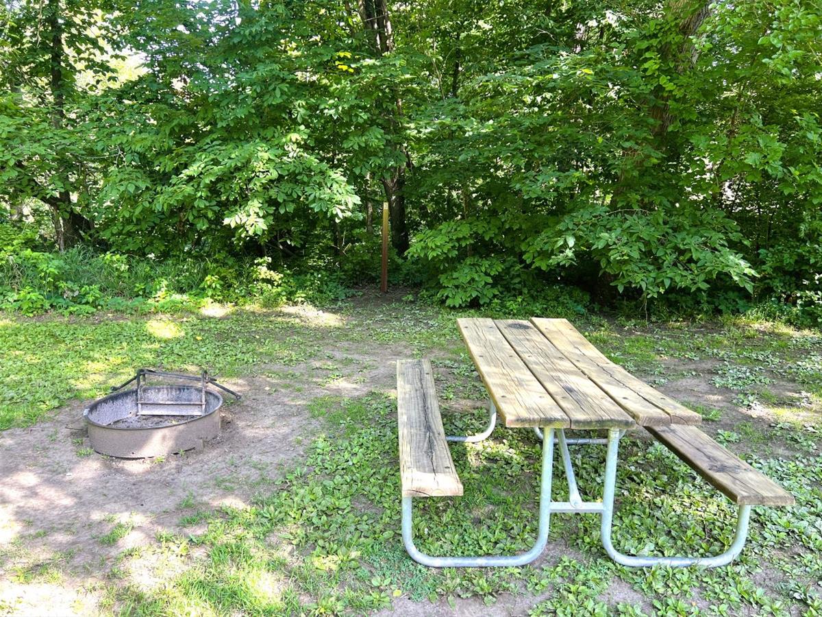 Southwood - Tent Site 03