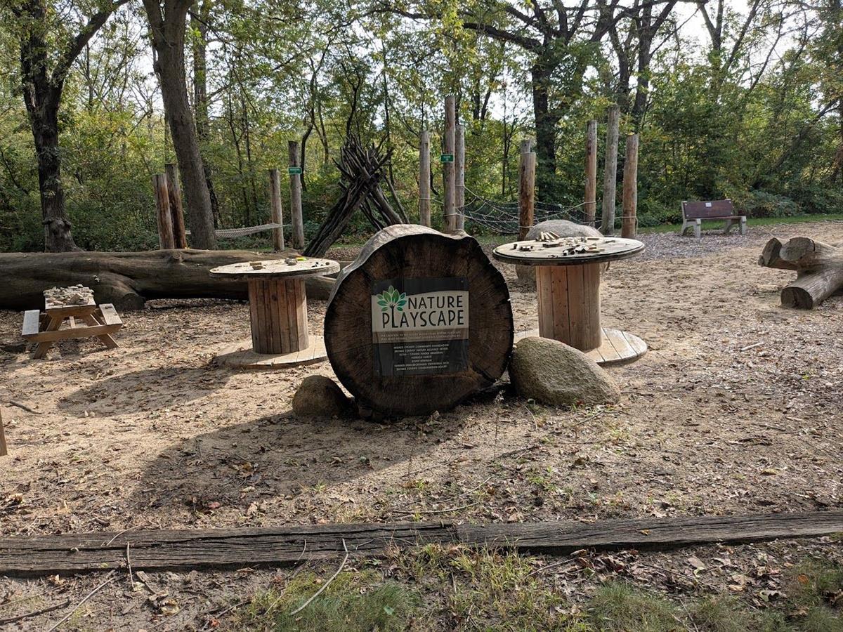 Natural Playscape