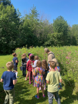 Nature Neighbors - Plants Around Us (Youth completing 1st or 2nd grade)