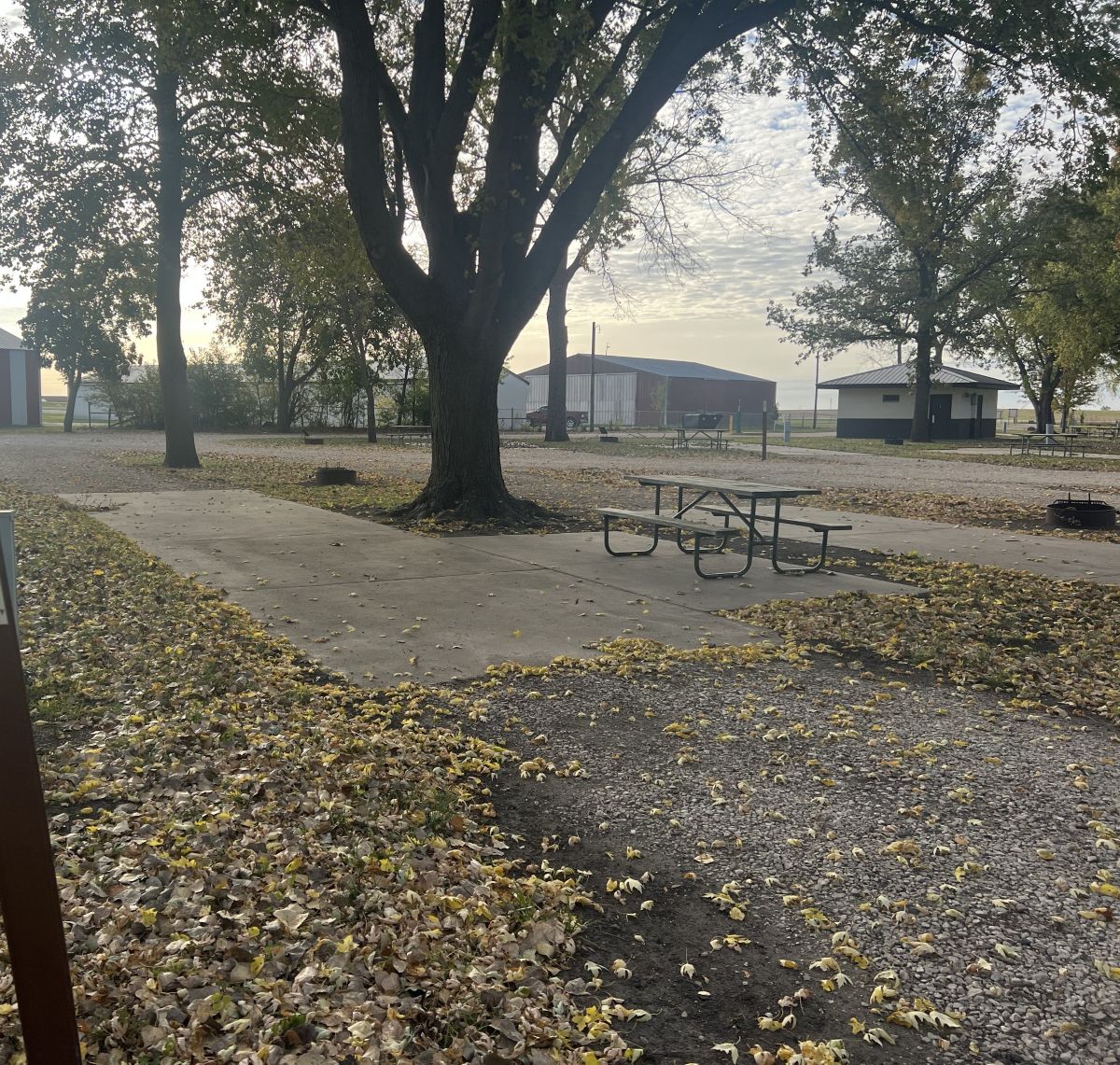 Mill Creek Campsite #16