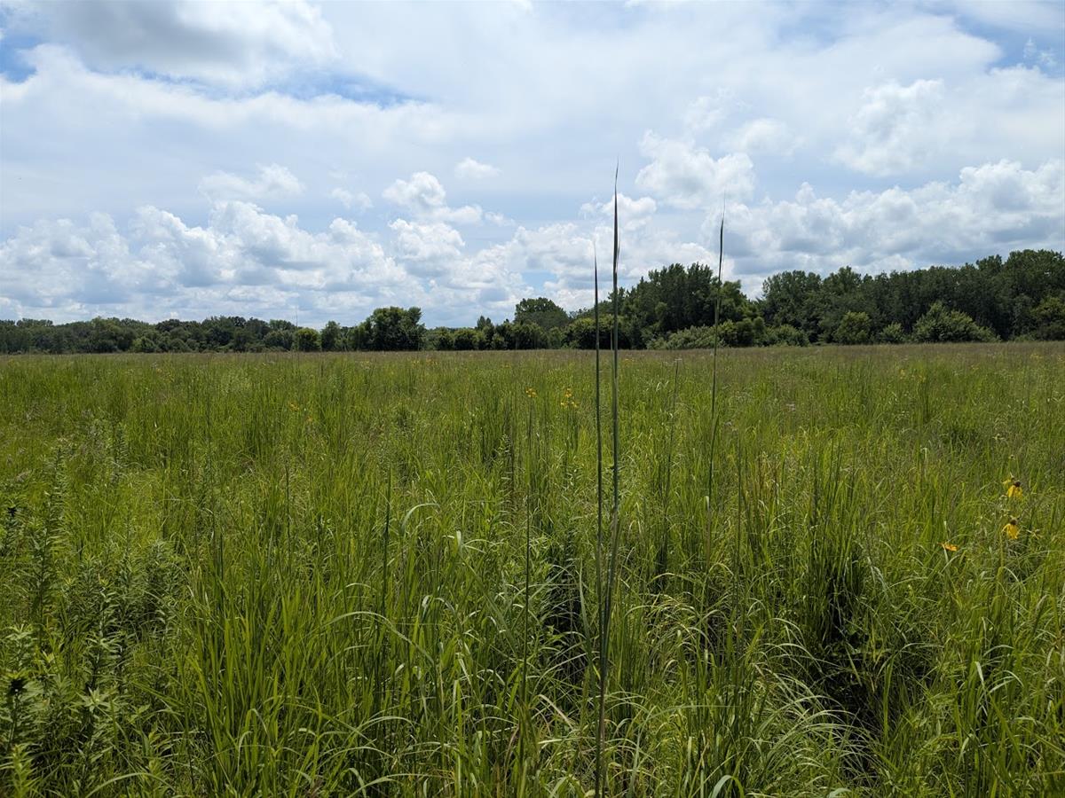 Plum Creek Prairie