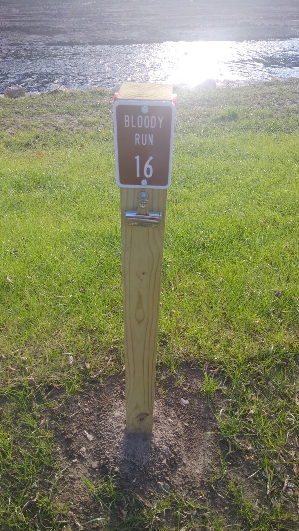 Bloody Run Campground, Campsite #16