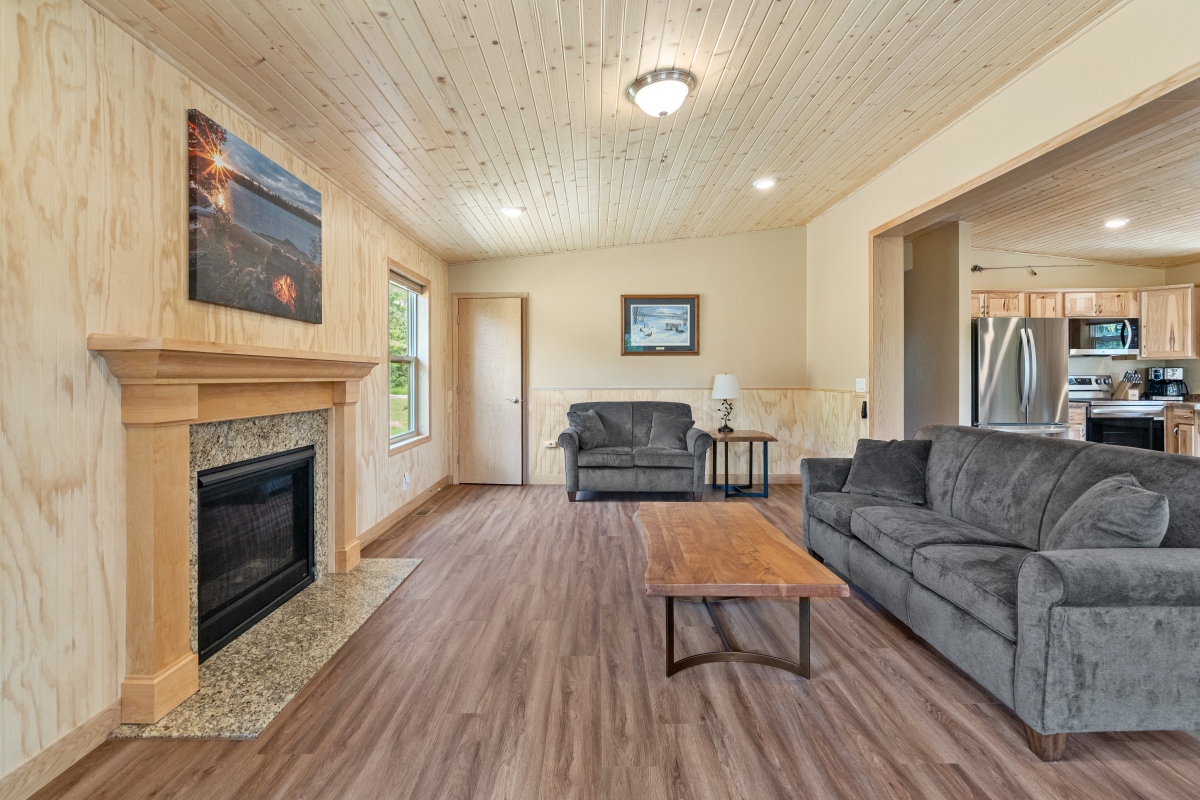 Living room and fire place