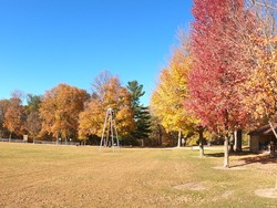 Fall Colors