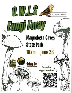 OWLS Fungi Foray at Maquoketa Caves