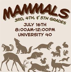 3rd, 4th, 5th Grade Camp - Mammals of Iowa