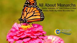 All About Monarchs