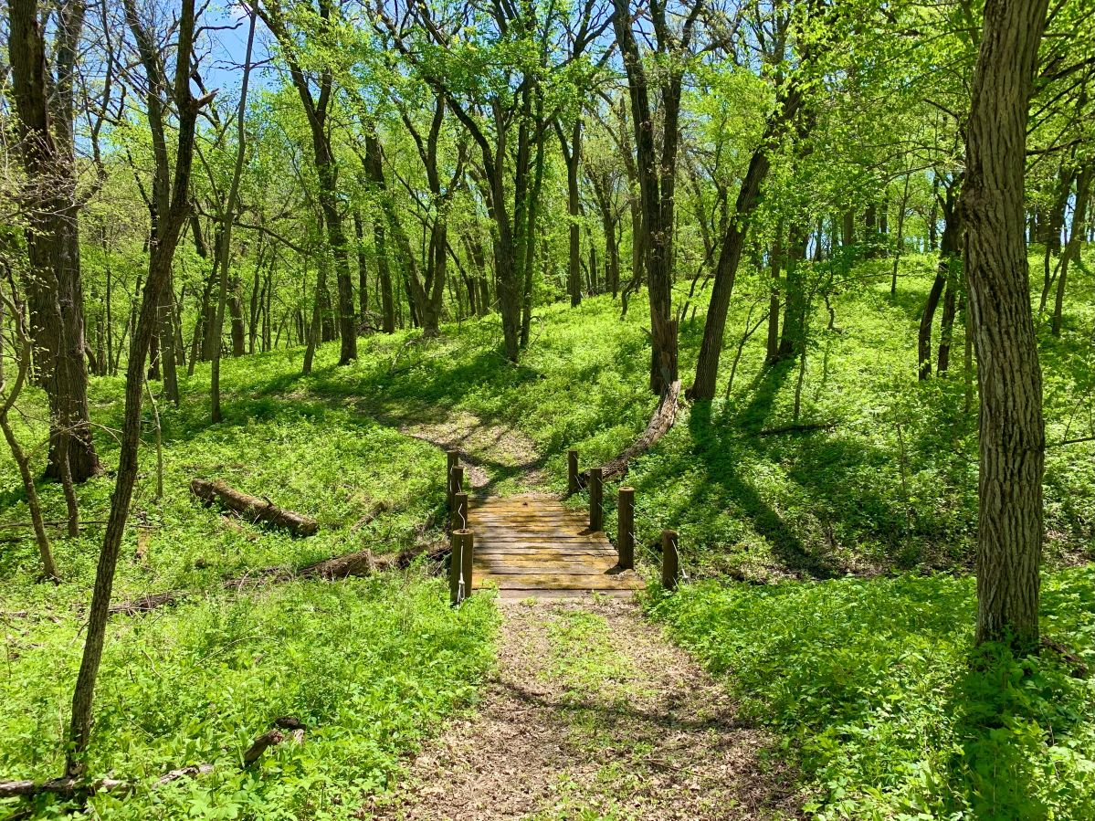 Ken Sidey Nature Area