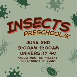 Preschool / Kindergarten - Insects (Butterflies)