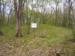 Skillet Creek Indian Mounds Night Hike