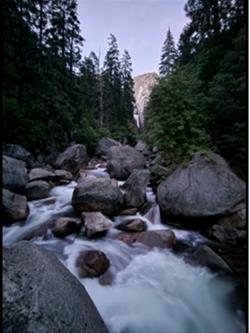 Brown Bag Bunch - California Camper Van Adventure