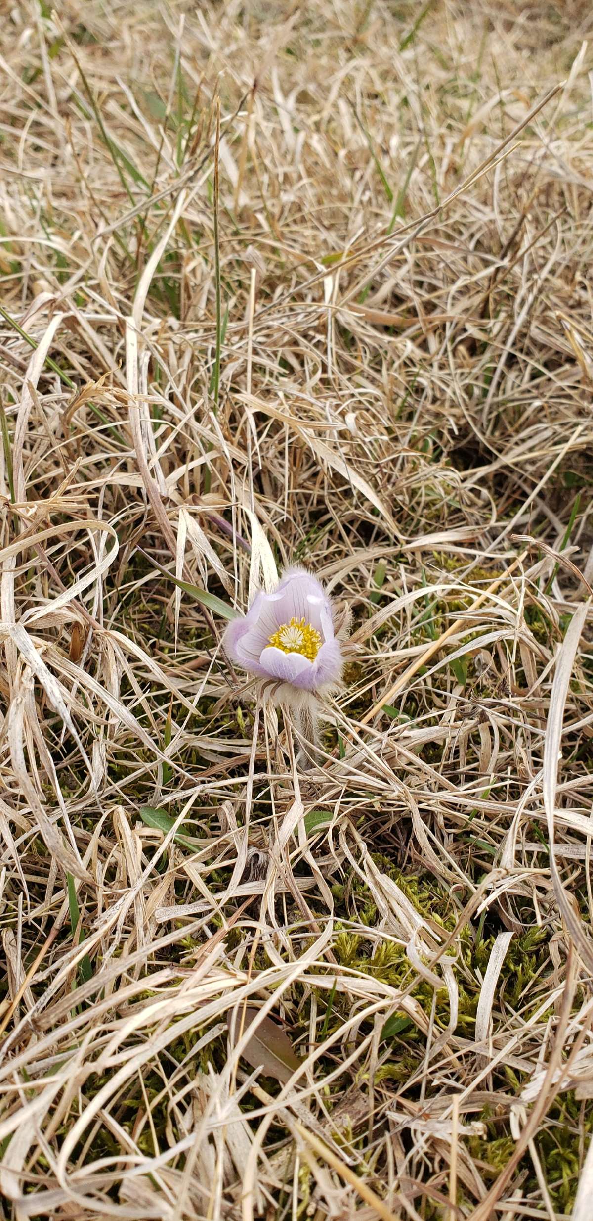Loof Wildlife Management Area
