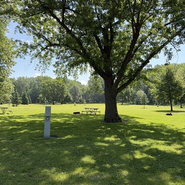 Beaver Meadows Site 14b - Non-Reservable
