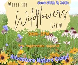 Where the WILDFLOWERS Grow!