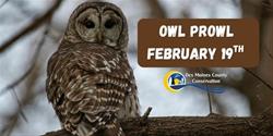 Owl Prowl