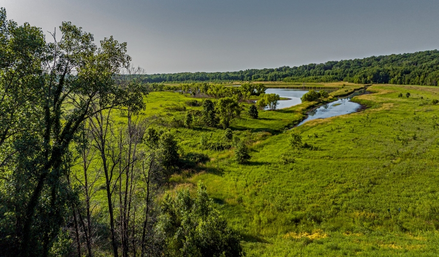 Wetlands Overview