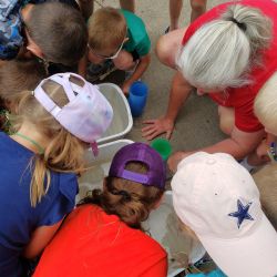 Nature Explorers - Wednesdays