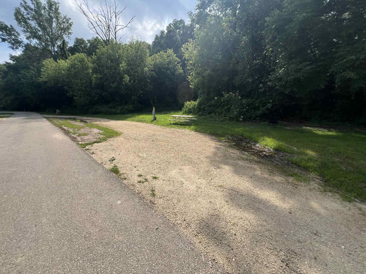 New Wine Park:  Campsite 31