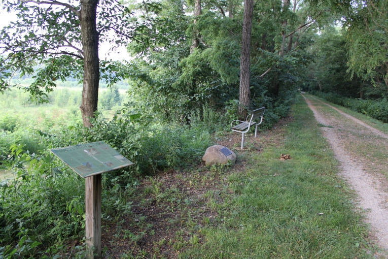 Overview of wetlands