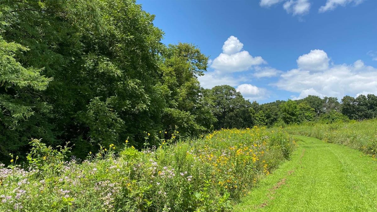 Trail by prairie