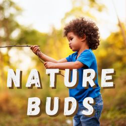 Nature Buds - Spiders
