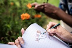 Nature Journaling for Teens