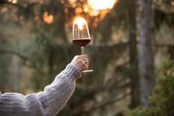 Wine Walk in the Woods Fundraiser