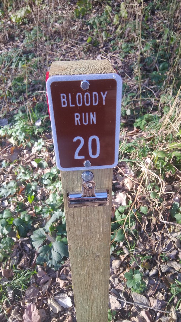 Bloody Run Campground, Campsite #20