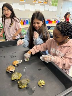 Amphibian Discovery Open House