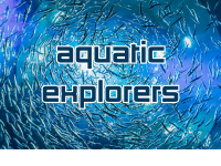 "Aquatic Explorers" Day Camp for 6th-8th Grade