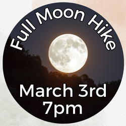 Full Moon Hike