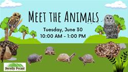 Meet The Animals & SDSU Ice Cream Truck