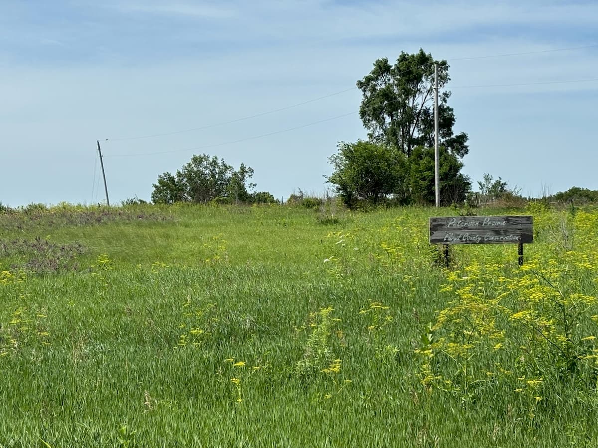 Peterson Prairie
